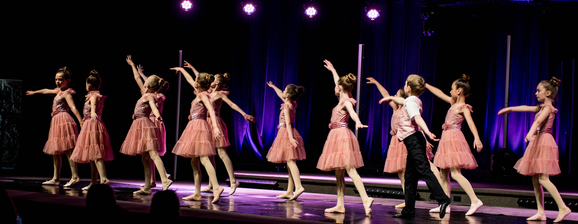 2026 ROG Fall Semester Dance Registration